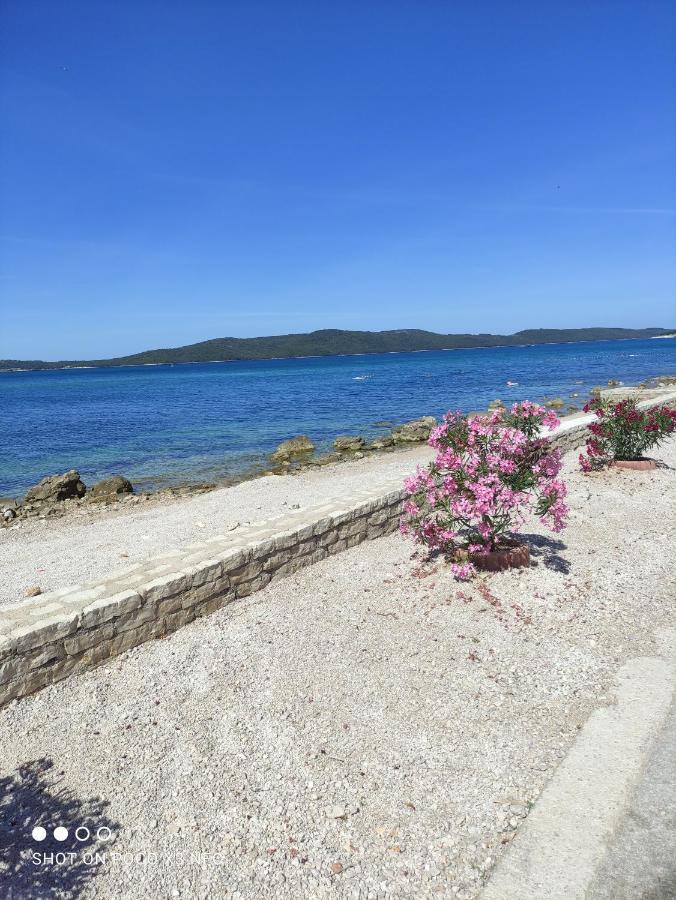 Apartmani Lana Šibenik Eksteriør bilde